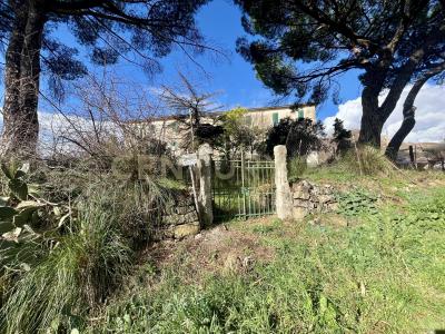 località casini, Scansano, Toscana 58054, Italia