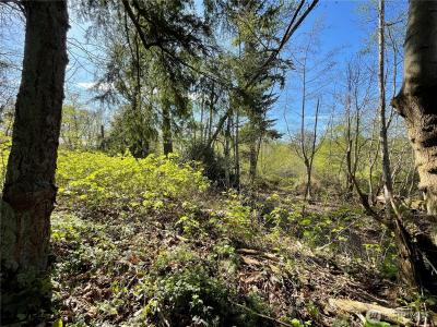 29 K Beach Way , K Div, Hat Island, Washington 98206, États-Unis
