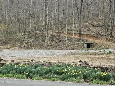 Tbd Right Poor Valley Road, Dryden, Virginia 24243, USA