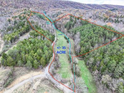 35 Ac Payne Hollow Rd, Greeneville, Tennessee 37743, USA