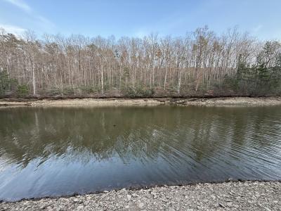 Lot 10 Luther Dr, Wedowee, Alabama 36278, HOA KỲ