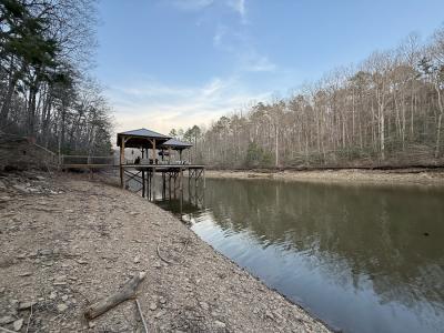 Lot 10 Luther Dr, Wedowee, Alabama 36278, USA