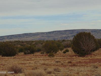 42 CR N5576, Concho, Arizona 85924, USA