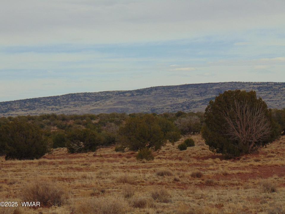 42 CR N5576, Concho, Arizona 85924, Estados Unidos