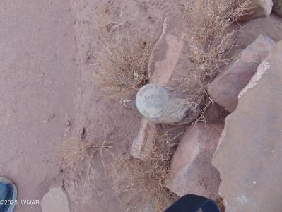 42 CR N5576, Concho, Arizona 85924, Estados Unidos