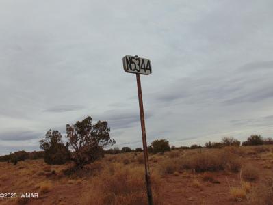 42 CR N5576, Concho, Arizona 85924, Estados Unidos