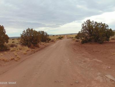 42 CR N5576, Concho, Arizona 85924, Estados Unidos