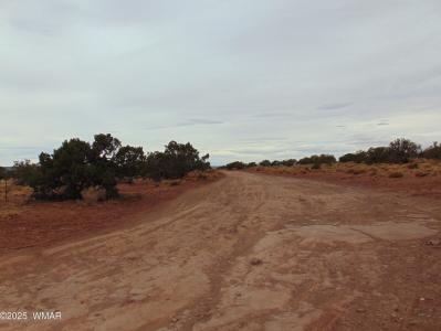 42 CR N5576, Concho, Arizona 85924, Estados Unidos