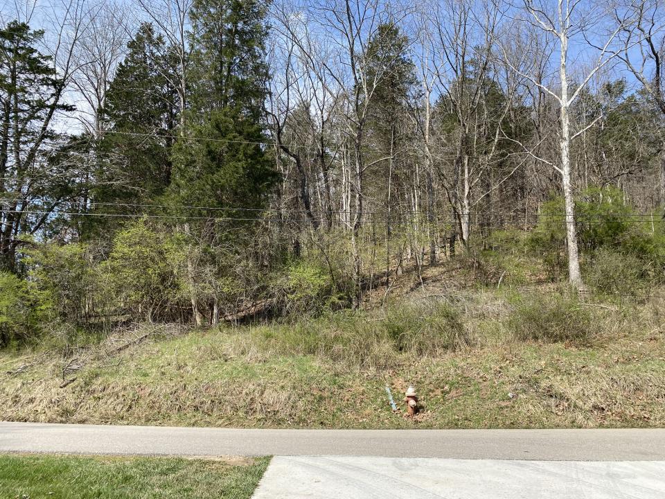 5031 Lynn Creek Road, Lavalette, West Virginia 25535, USA