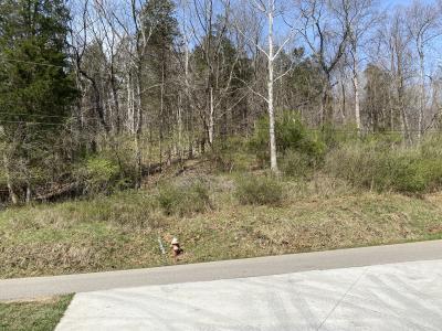 5031 Lynn Creek Road, Lavalette, WV 25535, USA