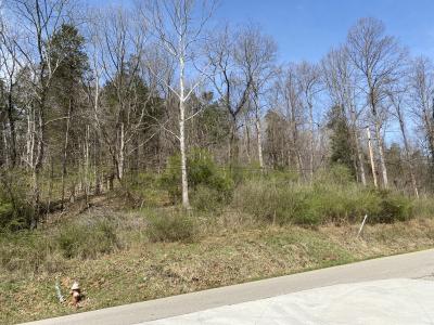 5031 Lynn Creek Road, Lavalette, West Virginia 25535, USA