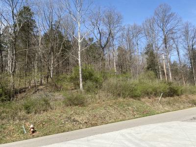 5031 Lynn Creek Road, Lavalette, West Virginia 25535, USA