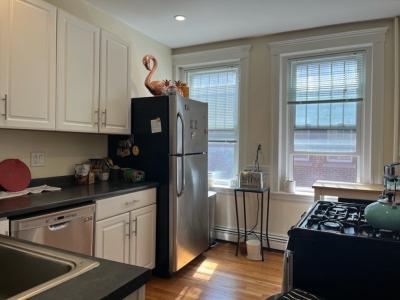 224 Jamaicaway , #6, Boston, Massachusetts 02130, USA