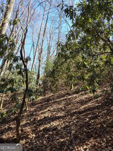 Lot 6 Ivy Ridge Way, Clarkesville, Georgia 30523, USA