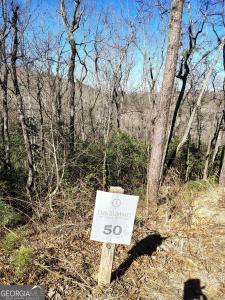 Lot 6 Ivy Ridge Way, Clarkesville, Georgia 30523, Stati Uniti