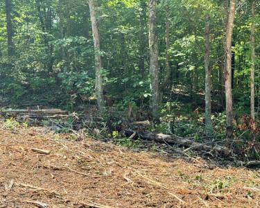 Lot 21 Spanns Lane, Somerset, Kentucky 42501, HOA KỲ
