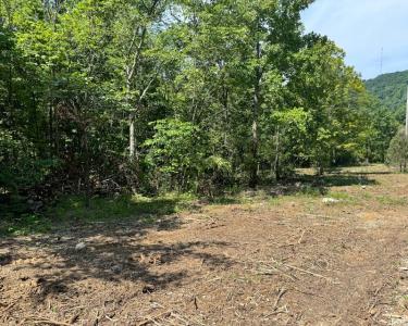 Lot 21 Spanns Lane, Somerset, Kentucky 42501, HOA KỲ