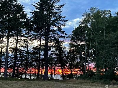 63 Ranta Rd, Bay Center, Washington 98527, USA
