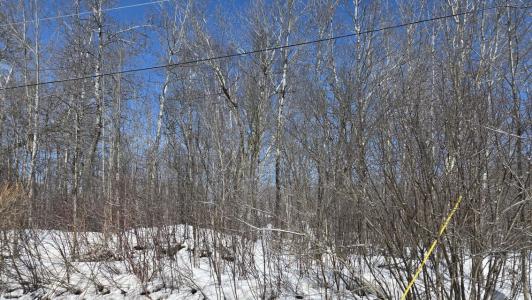 0 S Maple Wood Drive, Sault Ste Marie, Michigan 49783