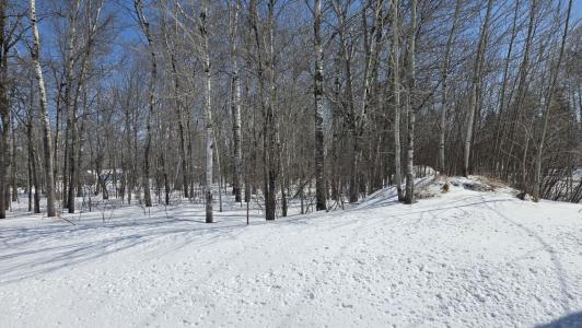 0 S Maple Wood Drive, Sault Ste Marie, Michigan 49783