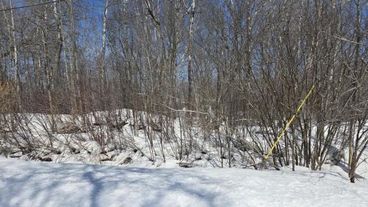 0 S Maple Wood Drive, Sault Ste Marie, Michigan 49783