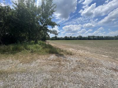 000 Old Bainbridge Road, Marion, Illinois 62959, Estados Unidos