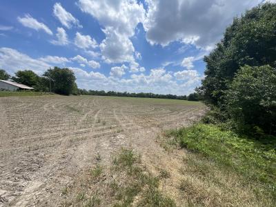 000 Old Bainbridge Road, Marion, Illinois 62959, Estados Unidos
