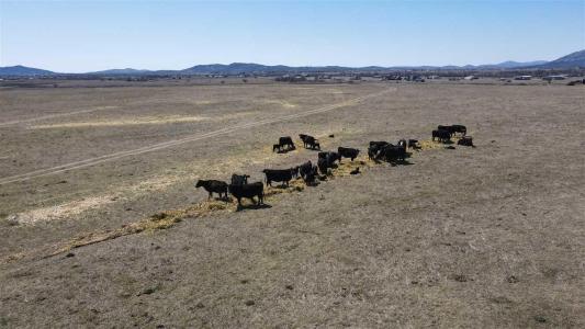 Lot 3 TBD Meers Porter Hill Rd, Elgin, Oklahoma 73538, USA