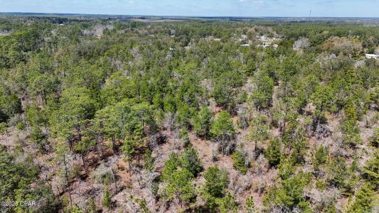 Woodland Road, Southport, Florida 32409, USA