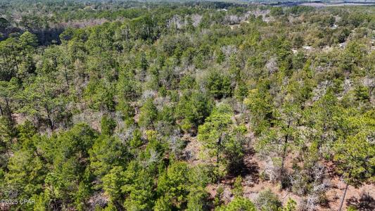 Woodland Road, Southport, Florida 32409, USA