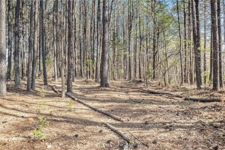 681 County Line Auburn Road #1, Winder, Georgia 30680, USA