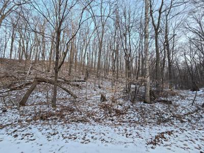 Lot25Blk1 Westward Ho, Garrison, Minnesota 56450, Estados Unidos