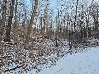 Lot25Blk1 Westward Ho, Garrison, Minnesota 56450, Estados Unidos