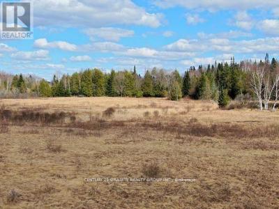 0 MCCREA ROAD, Highlands East (monmouth), Ontario K0L 2Y0, CANADÁ