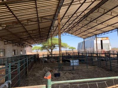 Bela Bela, Limpopo, דרום אפריקה