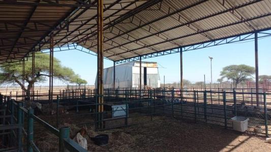 Bela Bela, Limpopo, דרום אפריקה