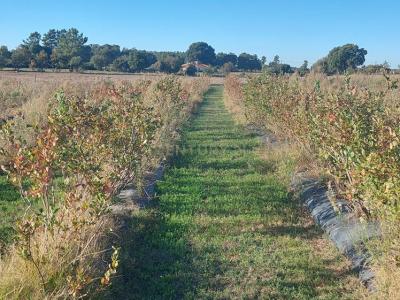 Fundão, Castelo Branco 6005-300, Portugal