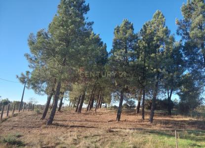 Fundão, קשטלו ברנקו 6005-300, פורטוגל