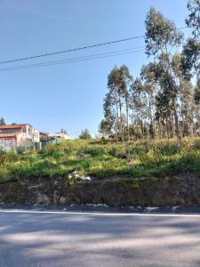 Aveiro, Aveiro 3800-851, Portugal