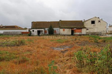 Alcochete, Setúbal 2890-168, Portugal