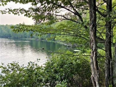 0.82 Acres on CTH FF, Mercer, Wisconsin 54547, USA