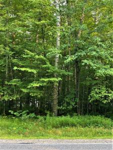 0.82 Acres on CTH FF, Mercer, Wisconsin 54547