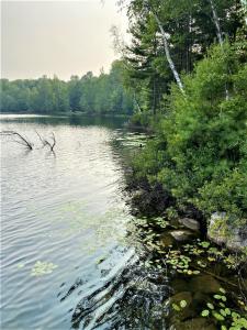 0.82 Acres on CTH FF, Mercer, Wisconsin 54547