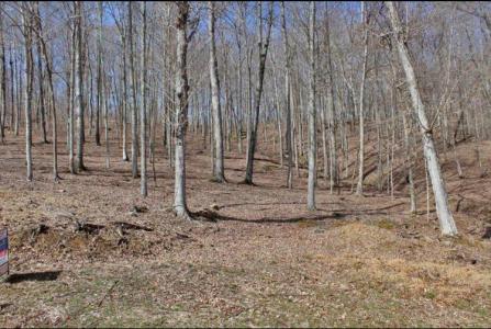 1230Haynes Knob Rd, Somerset, Kentucky 42501, Estados Unidos
