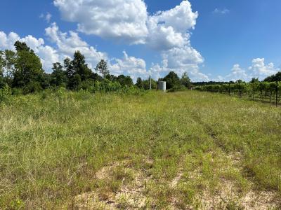 14.28 Acres TBD CR 343, Henderson, Texas 75652, Stati Uniti