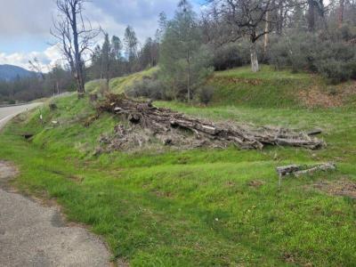 7541 Rush Creek Road, Lewiston, California 96052