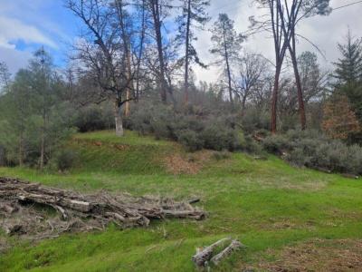 7541 Rush Creek Road, Lewiston, California 96052
