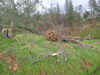 7541 Rush Creek Road, Lewiston, California 96052