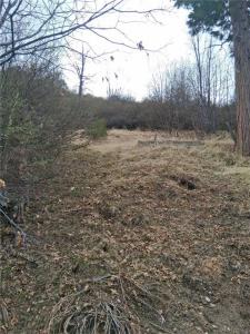 0 Pine Dr, Cedar Glen, California 92321, USA