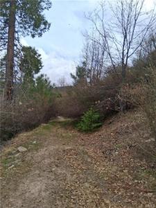 0 Pine Dr, Cedar Glen, Californie 92321, États-Unis